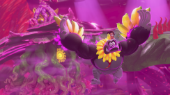 Related Image